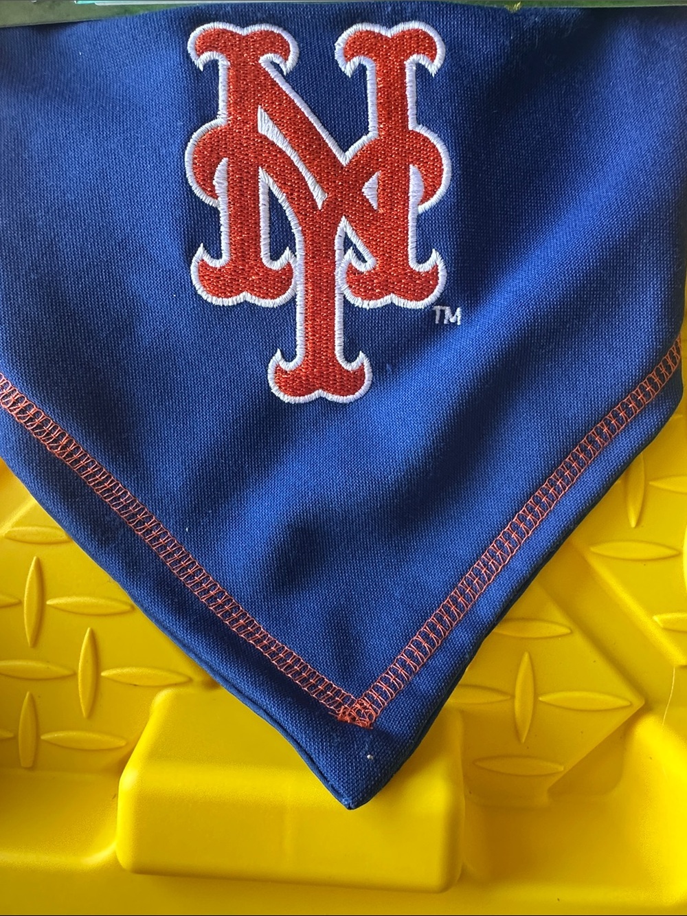MLB New York Mets Blue and Orange Pet Bandana